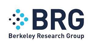Berkeley Research Group